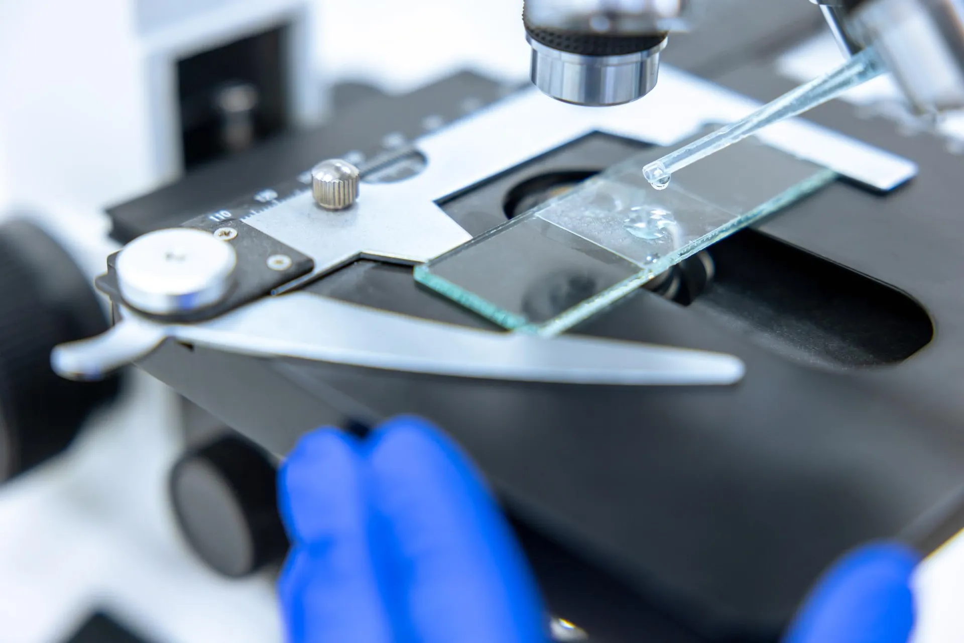 Cientista analisando lâmina no microscópio
